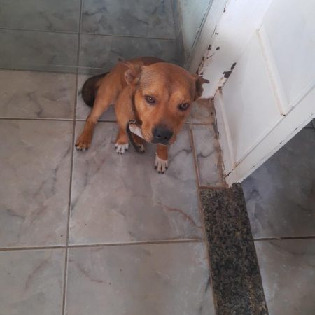 layon2